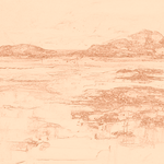 Sepia sketch