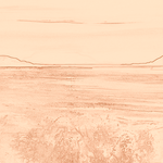 Sepia sketch