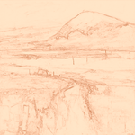 Sepia sketch