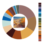 Colour wheel / palette