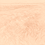 Sepia sketch