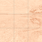 Sepia sketch with grid