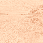 Sepia sketch