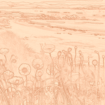 Sepia sketch