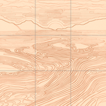 Sepia sketch with grid