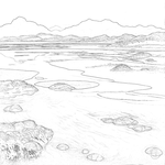 Sketch