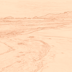 Sepia sketch