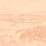 Sepia sketch