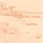 Sepia sketch