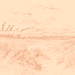 Sepia sketch