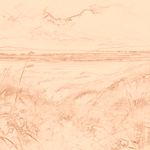 Sepia sketch