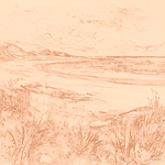 Sepia sketch