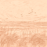 Sepia sketch