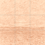 Sepia sketch with grid