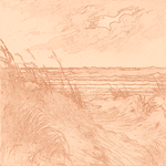 Sepia sketch