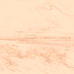 Sepia sketch