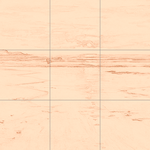 Sepia sketch with grid