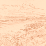 Sepia sketch