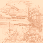 Sepia sketch