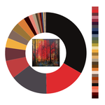 Colour wheel / palette