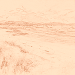 Sepia sketch