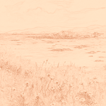 Sepia sketch