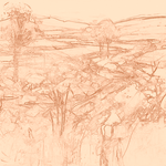 Sepia sketch