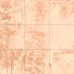 Sepia sketch with grid