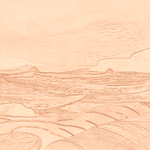 Sepia sketch