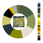 Colour wheel / palette