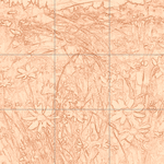 Sepia sketch with grid