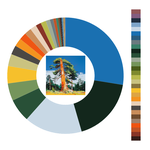 Colour wheel / palette