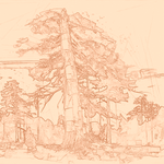 Sepia sketch