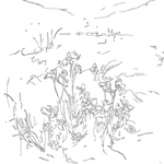 Line drawing