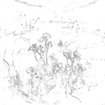 Sketch