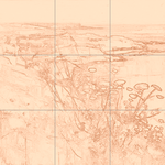 Sepia sketch with grid