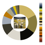 Colour wheel / palette