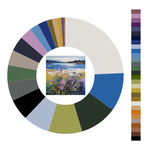 Colour wheel / palette