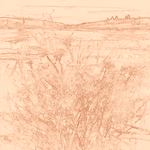 Sepia sketch