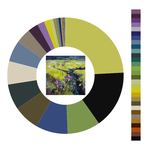 Colour wheel / palette