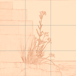 Sepia sketch with grid