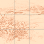 Sepia sketch with grid