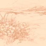 Sepia sketch