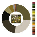 Colour wheel / palette