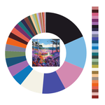 Colour wheel / palette