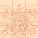 Sepia sketch with grid