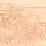 Sepia sketch