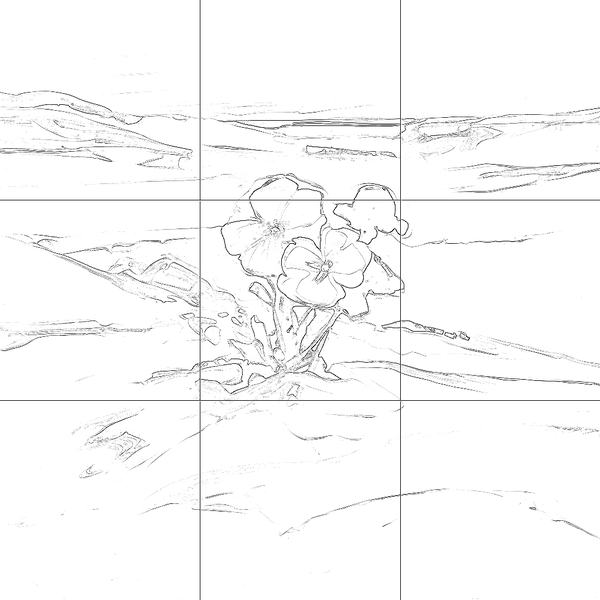 Sketch with grid