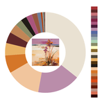 Colour wheel / palette