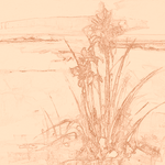 Sepia sketch